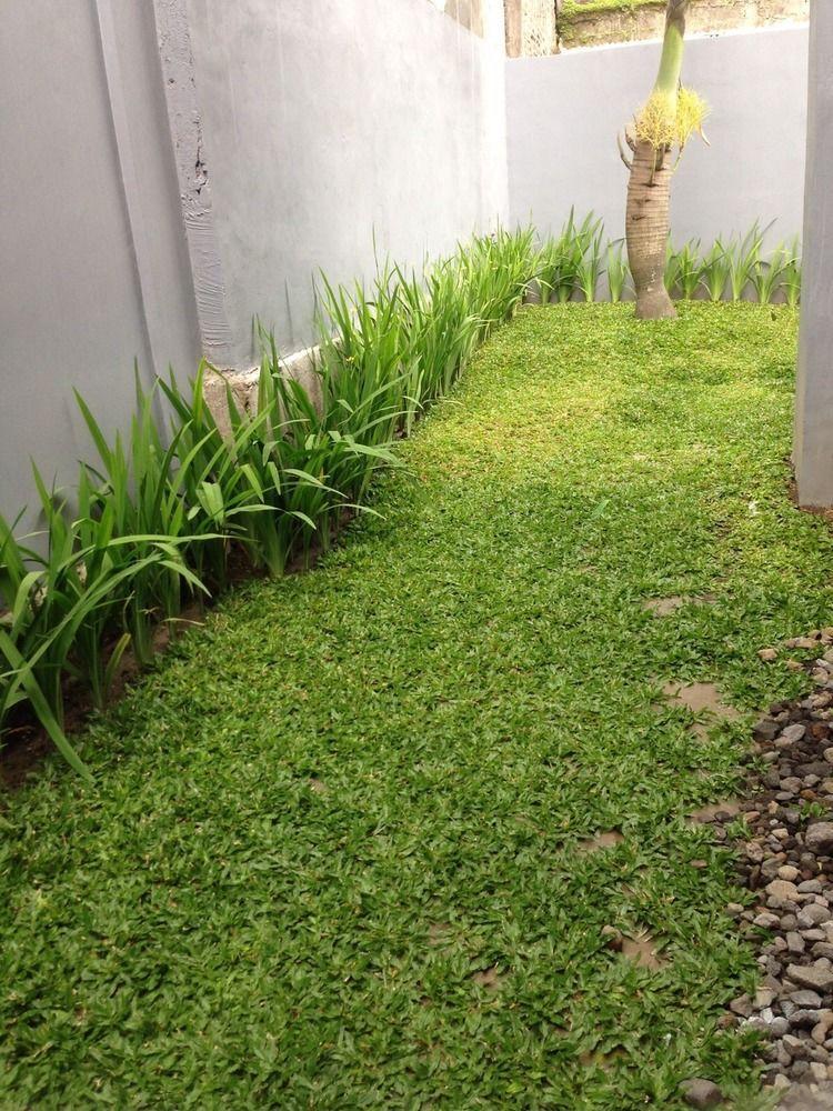 Safa Homestay Yogyakarta Exterior photo